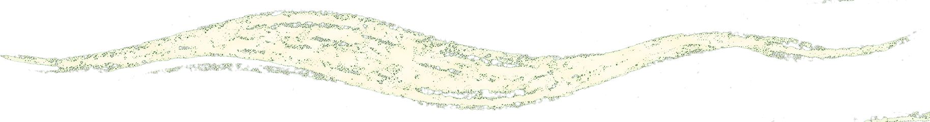 破空风痕